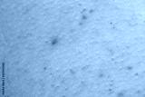 preview cold