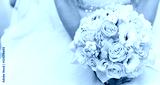 preview cold