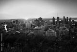preview bw