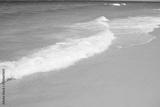 preview bw