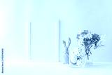 preview cold
