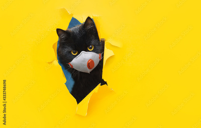image to crop