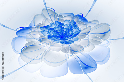 image to crop