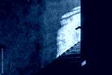 preview cold