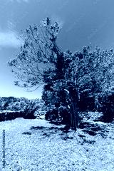 preview cold