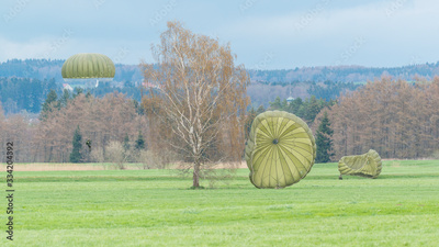 image to crop