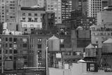 preview bw