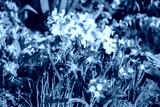 preview cold