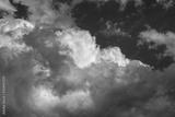 preview bw