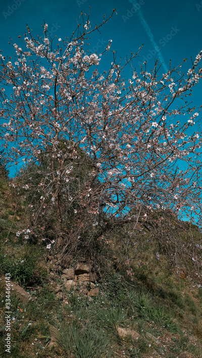 image to crop