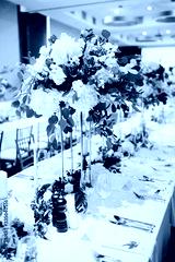 preview cold