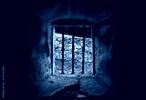 preview cold