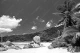 preview bw