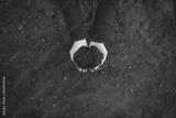preview bw