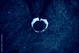preview cold