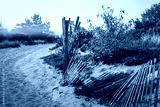 preview cold