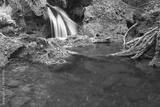 preview bw