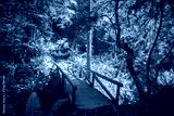 preview cold