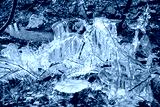 preview cold