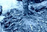 preview cold
