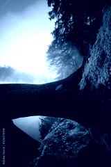 preview cold