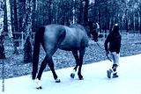 preview cold