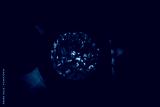 preview cold