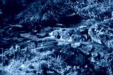 preview cold
