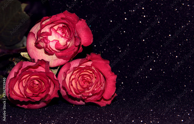 image to crop