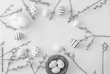 preview bw