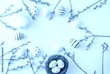 preview cold