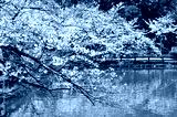 preview cold