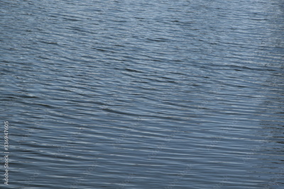 image to crop
