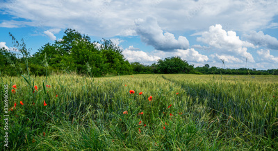image to crop