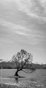 preview bw