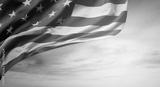 preview bw