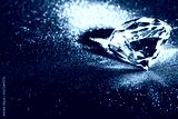 preview cold