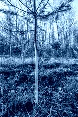 preview cold