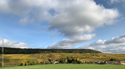 image to crop
