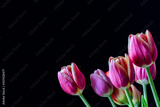 preview original