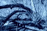 preview cold