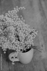preview bw