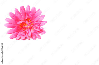 image to crop
