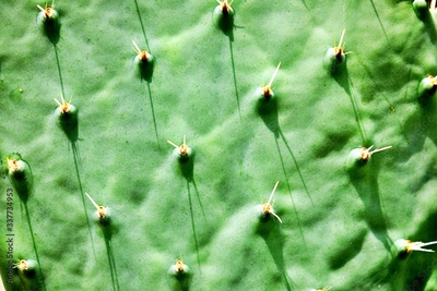 image to crop
