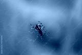 preview cold