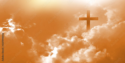 image to crop