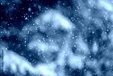 preview cold