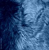 preview cold