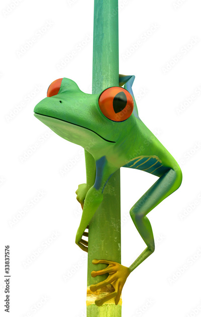 image to crop
