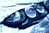 preview cold
